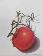 Tomato on the Vine 3