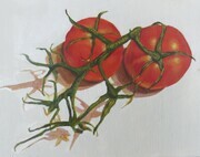 Tomatoes on the Vine 6
