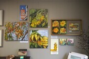 Now Showing at Picture This! Custom Framing and Gallery, Penticton