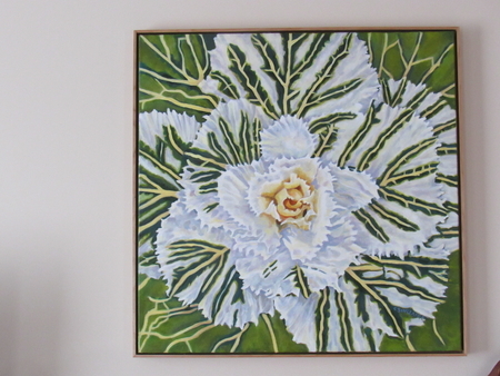 White Flowering Kale 24 X 24